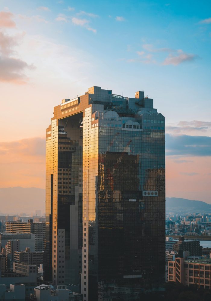 pexels-willianjusten-15924871 pexels-willianjusten-15924871